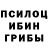 Галлюциногенные грибы ЛСД Nostrus Crovus